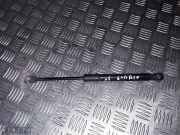 Gasdruckfeder Audi A5 Sportback (8TA) 8F0827550A