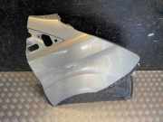 Kotflügel rechts vorne Ford Tourneo Custom V362 Bus (F3)