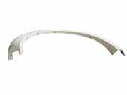 Front Arch Liner FIAT FULLBACK Pick-up (502_, 503_) 2.4 D 4x4