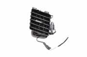Frischluftgrill AUDI Q5 (8R) 2.0 TFSI quattro 80C820902