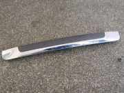 Kennzeichenbeleuchtung Verkleidung