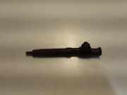 Einspritzdüse FORD GALAXY III (CK) 2.0 TDCi 9674984080