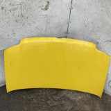 Motorhaube FIAT PANDA (169_) 1.3 D Multijet 4x4