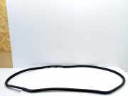 Türgummi links hinten Toyota RAV 4 IV (A4)