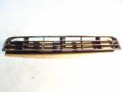 Kühlergrill unten Audi A6 (4A, C4) 4A0807683