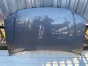 Motorhaube VW TOURAN (1T1, 1T2) 1.9 TDI