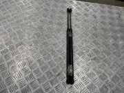 Heckklappe Gasdruckfeder links TOYOTA COROLLA Verso (ZER_, ZZE12_, R1_) 2.2 D-4D (AUR10_) 089500F011