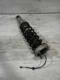 Stoßdämpfer hinten links BMW 6 (E63) 630 i 33.522283067