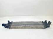 Ladeluftkühler FORD FOCUS C-MAX 1.6 TDCi 3M5H9L440AD