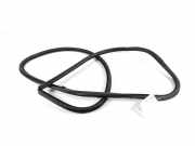 Türgummi links hinten Lexus IS 3 (E3) 6233253060