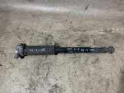 Stoßdämpfer hinten rechts MERCEDES-BENZ C (W205) C 220 BlueTEC / d (205.004) A2053207830