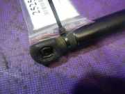 Gasfeder für Motorhaube VW Passat B6 Variant (3C5) 3C0823359A