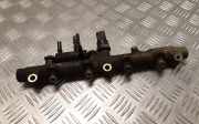 Einspritzleiste Citroen C8 (E) 0445214017