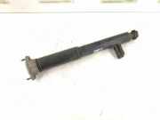 Stoßdämpfer links hinten Mercedes-Benz C-Klasse (W204) 2043202930