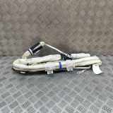 Airbag Dach links Kia Sorento II (XM) 850102P500