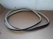 Türgummi links vorne Cadillac SRX 2 ()