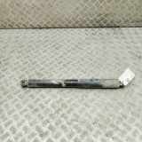 Stoßdämpfer rechts hinten Isuzu D-Max II (TFR, TFS) 8975595540