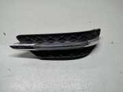 Gitter vorne unten MERCEDES-BENZ C (W204) C 200 Kompressor (204.041) A2048803324