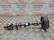 Auspuffkrümmer VW Sharan (7M) 038109111E