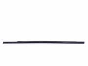 Fensterleiste Tür vorne links MERCEDES-BENZ B (W246, W242) B 200 (246.243) A2467250382