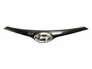 Vorderer oberer Gitter HYUNDAI i20 (PB, PBT) 1.1 CRDi 863511J500