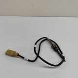 Temperatursensor SEAT TARRACO (KN2) 2.0 TDI 05L906088AK