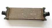 Ladeluftkühler FORD TRANSIT Furgon 2.2 TDCi 1823031