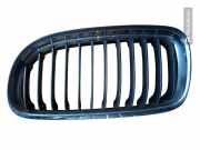 Vorderer oberer Gitter BMW 3 (E90) 330 i 7201967