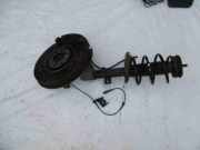 Achsschenkel (ABS) links vorne Peugeot RCZ ()