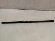 Fensterleiste Tür vorne links MITSUBISHI GRANDIS (NA_W) 2.0 DI-D (NA8W)