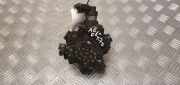 Kraftstoffpumpe Audi A6 Avant (4F, C6) 0445010154