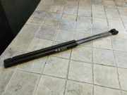 Heckklappe Gasdruckfeder rechts MITSUBISHI SPACE STAR MPV (DG_A) 1.9 DI-D 8846KC0450N