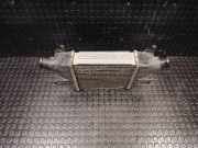 Ladeluftkühler PEUGEOT 4008 1.8 HDi AWC