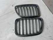 Vorderer oberer Gitter BMW X1 (E84) xDrive 23 d