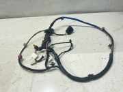 Kabel Tür Kia Sportage 2 (JE, KM) 916603U030