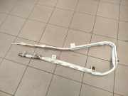 Dach SRS rechts AUDI A8 D4 (4H_) 4.2 TDI quattro 4H4880742D
