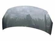 Motorhaube CITROËN DS3 1.6 Racing 9666806880
