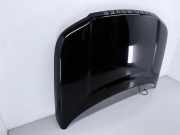 Motorhaube LAND ROVER FREELANDER (L314) 2.0 Td4 4x4