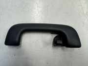 Griff Panoramadach Kia Stinger (CK)