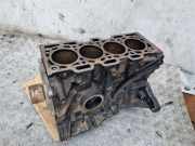 Motorblock RENAULT TWINGO II (CN0_) 1.5 dCi 75 629925