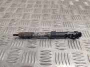 Düsenstöcke Citroen DS5 () 9686191080