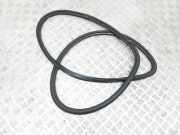 Türgummi links vorne Audi Q3 (8U)