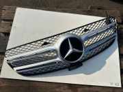 Gitter MERCEDES-BENZ GLE (W166) 250 d 4-matic (166.004) A1668880260