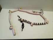 Airbag Dach rechts Land Rover Range Rover Evoque I (L538) 309912499AC