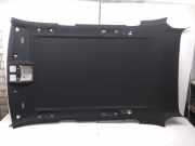 Dachsäule BMW X5 (E70)