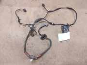 Kabelbaum Jaguar S-Type (X200) 4R8T15B484AD