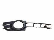 Gitter vorne unten AUDI A6 (4F2, C6) 3.0 TDI quattro 4F080768201C