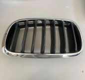 Vorderer oberer Gitter BMW X5 (F15, F85) xDrive 40 d 7316053