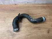 Schlauch Kühlung FORD PUMA (J2K, CF7) 1.0 EcoBoost mHEV L1BG18B274AD