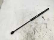 Heckklappe Gasdruckfeder links AUDI A4 Cabrio (8H7, B6, 8HE, B7) 2.5 TDI